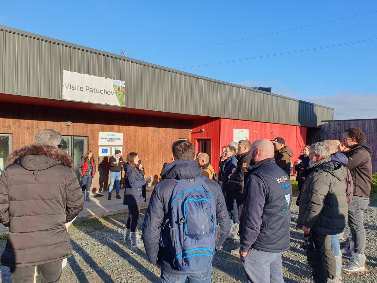 INRAE_Poitiers's tweet photo. #Caprinov | J-1 avant @Caprinov : les internationaux avec Interco @NvelleAquitaine, découvrent notre plateforme expérimentale #Patuchev et nos travaux conduits avec nos partenaires pour concevoir des systèmes d’élevage caprins agroécologiques 🐐
#Ferticap #RedCap #UMT_SC3D https://t.co/xXdqsiGT0j