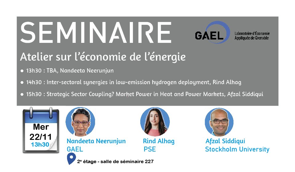 LaboratoireGael's tweet photo. 🗓️mercredi 22/11 à 13h30, un atelier sur l'#économie de l'#énergie est proposé par le @laboratoireGAEL avec @Nandeeta_N, @rind_hage @PSEinfo et Afzal Siddiqui @Stockholm_Uni https://t.co/PHMCPApAfm