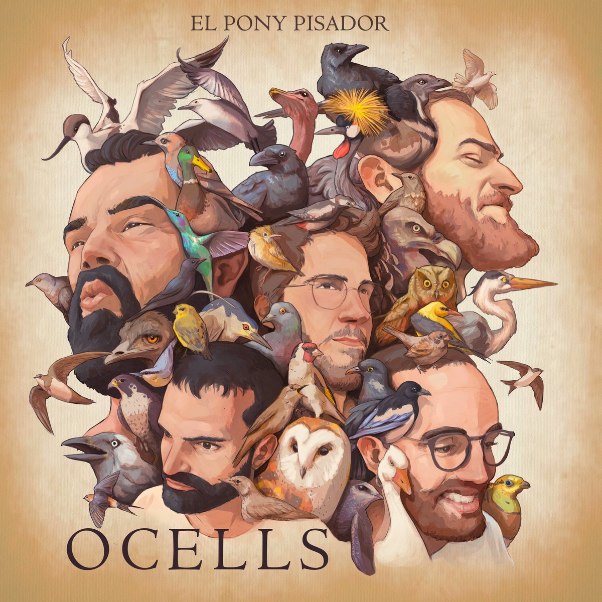 OCELLS

NOU DISC

02/02/24