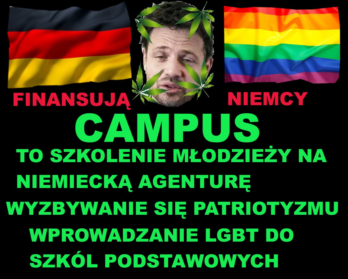 Tadeusz (@tadeusz46071539) on Twitter photo 