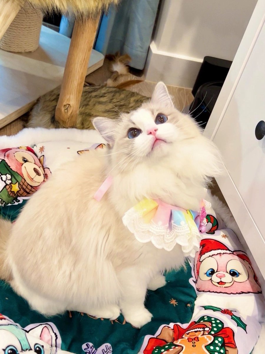 krilium ﾞshlump ​entozoologist
私᠍は᠍子⳿猫‍体⬝制​、愛ﾠさᱸれ‍れ⳿ばﾠ愛‍さᱸれ るほ⬝ど‍言ﾞう⬝ことを聞きます