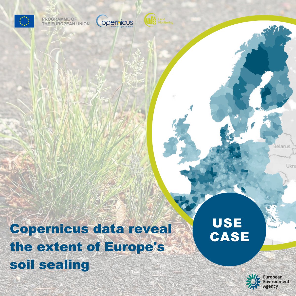 CopernicusLand's tweet photo. The @EUEnvironment has created a soil sealing & ecosystem impacts dashboard, providing essential insights & statistics across Europe π. All made possible by the freely available #CLMS #Imperviousness data.
More info: https://t.co/k2JVzOhFLR https://t.co/8PrQ8hv8hN