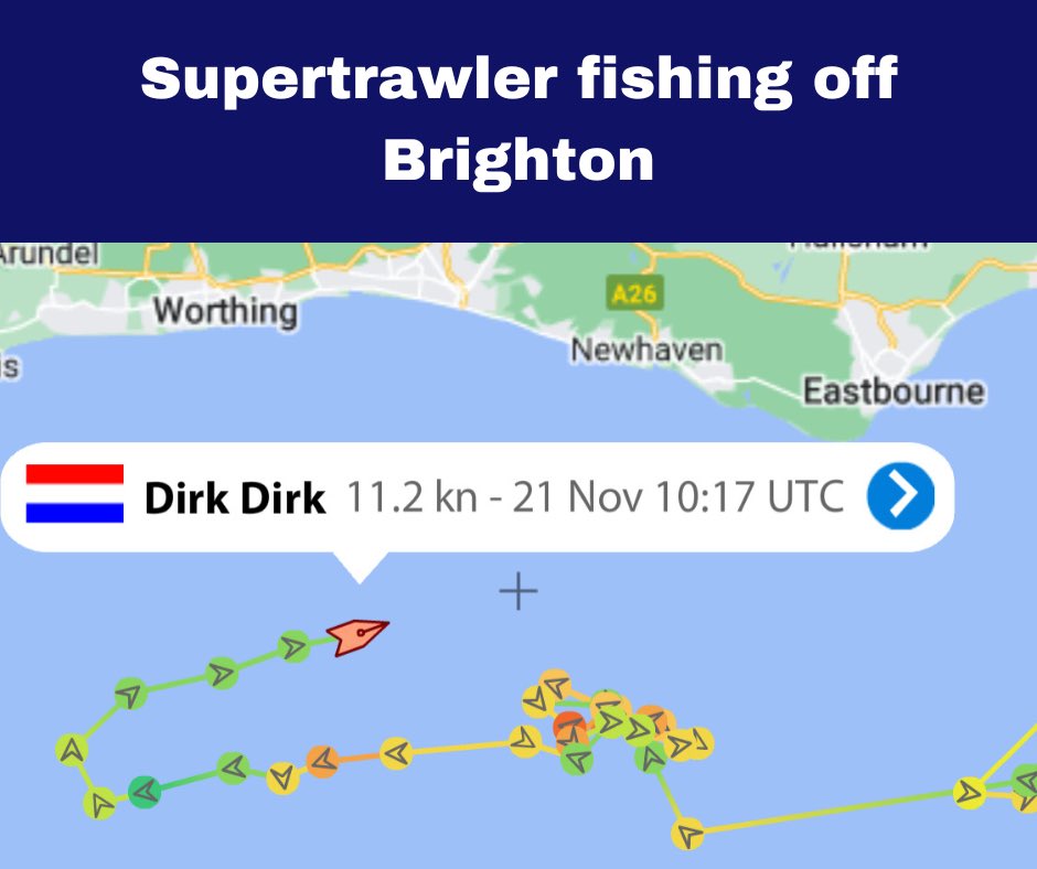 SussexDolphin's tweet photo. The Dirk Dirk, a 95-metre #Supertrawler has been fishing in the Channel off #Sussex overnight and is currently off #Brighton.
These huge factory ships, measuring up to 144 metres, use nets up to 1KM long with a net mouth 200 metres wide to target pelagic (midwater) fish.
🧵 https://t.co/ZF7E1QHRZY