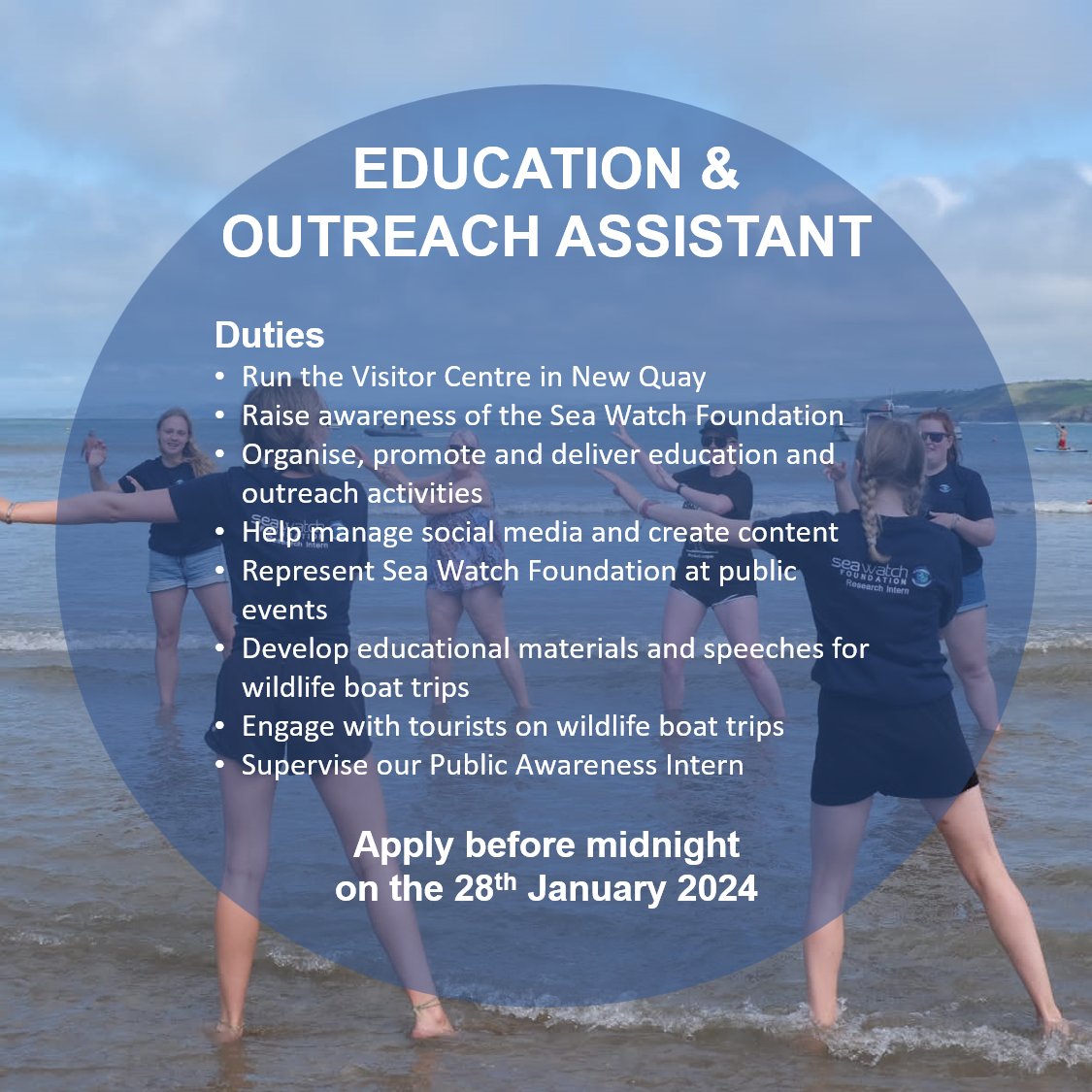 APPLICATIONS NOW OPEN It's that time of year again when we are looking for individuals to join our team of interns in Cardigan Bay! We are recruiting Research Interns, a Research Assistant & Intern Coordinator, and an Education & Outreach Assistant.