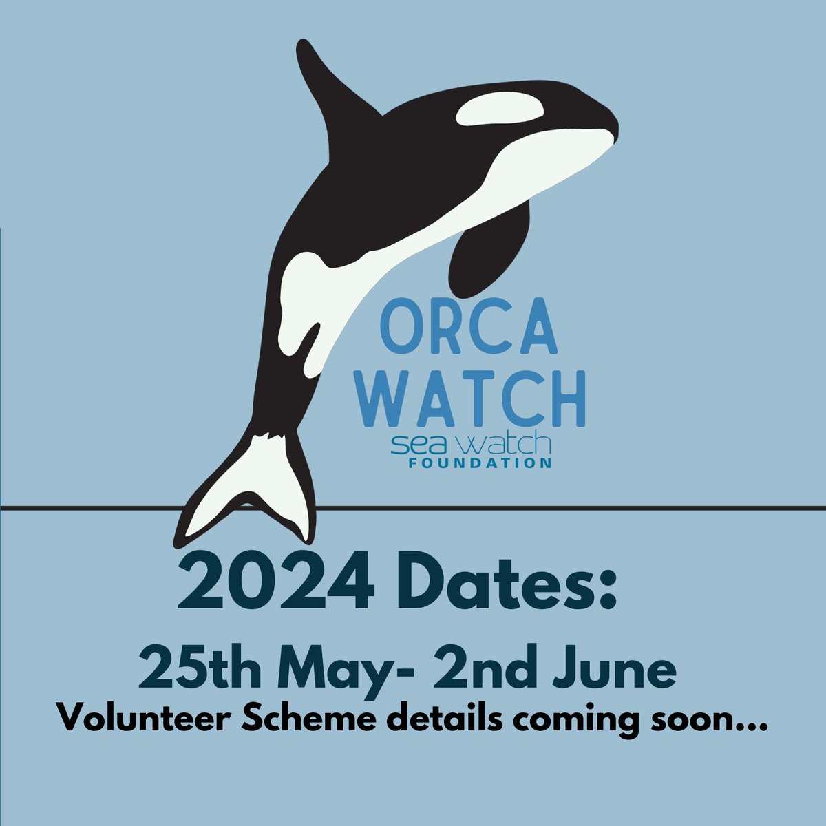 Save the date! 📷 We are excited to announce that Orca Watch 2024 will take place from Saturday the 25th May to Sunday the 2nd June 📷 Head to our website to find out more!