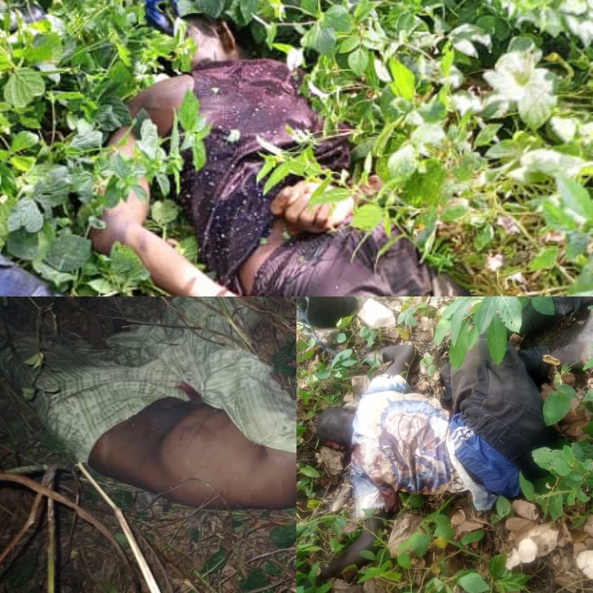 voiceofnigeria's tweet photo. Troops of Operation SAFE HAVEN neutralised 7 bandits, recovered arms, and arrested 33 suspects involved in various crimes like kidnapping, murder and more. A week of impactful actions! 🛡️👊 #OperationHakorinDamisa #OPSH #SecurityMilestones https://t.co/ZA3klDIx7i