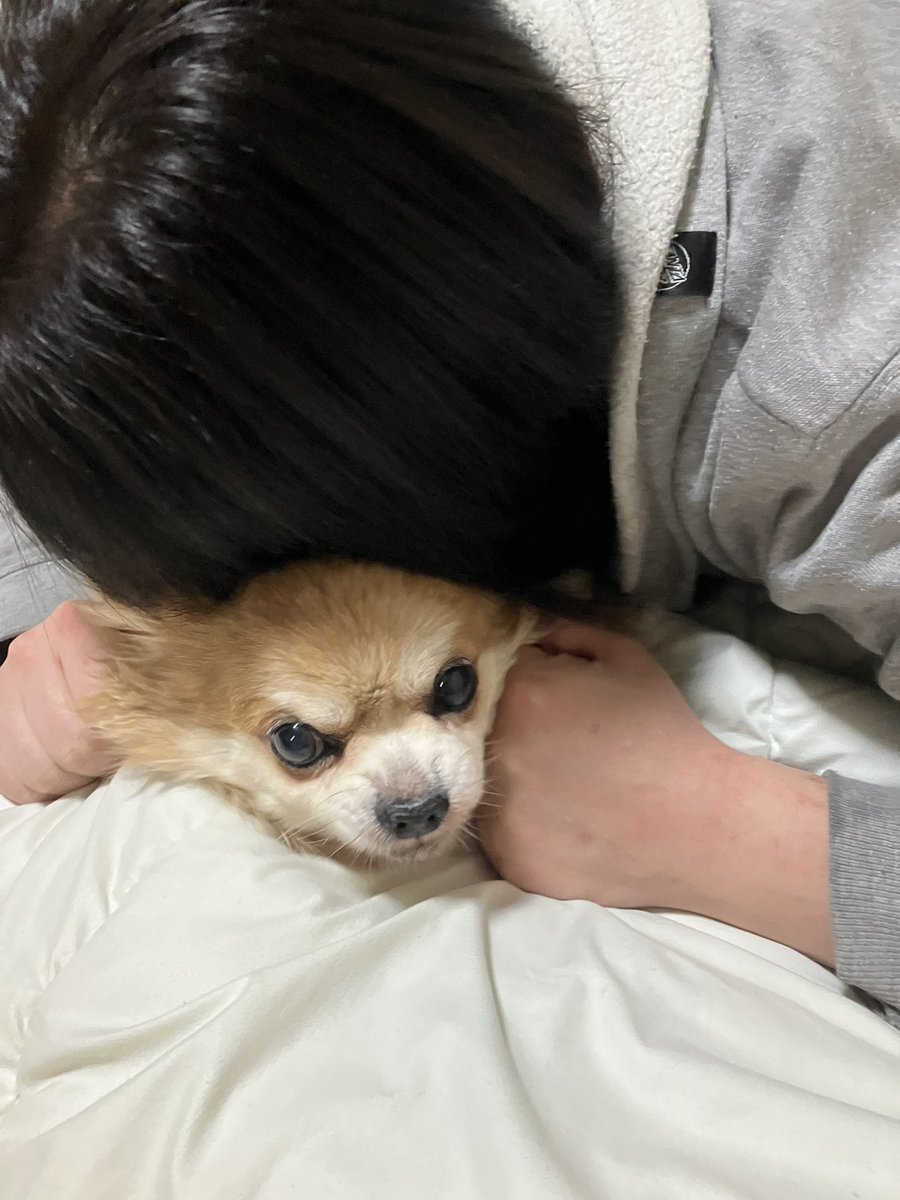 たぁたん tweet media