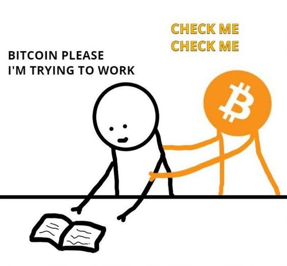 spi_crypto's tweet image. Fight the urge!😂