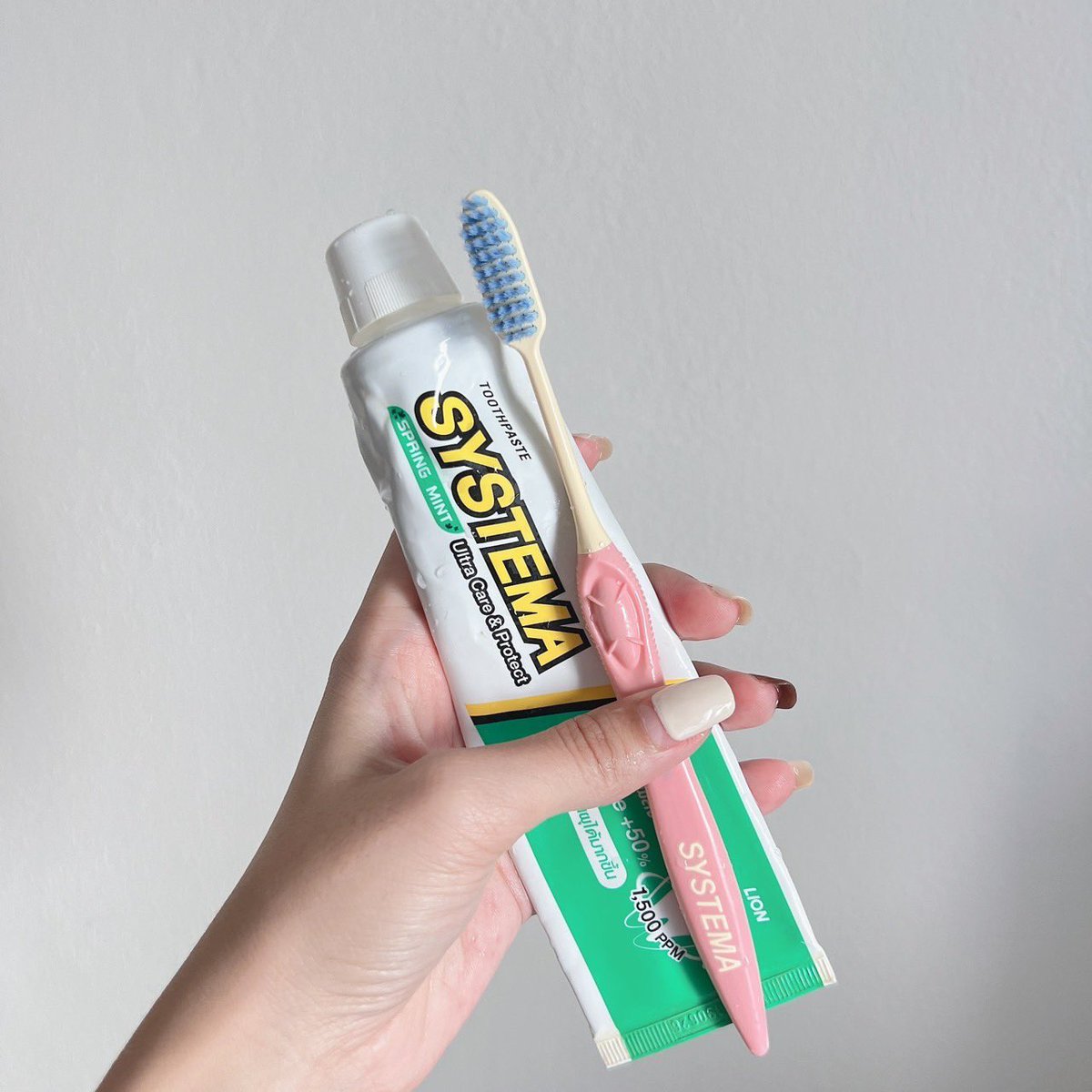 ยย ʕ·ᴥ·ʔ tweet media