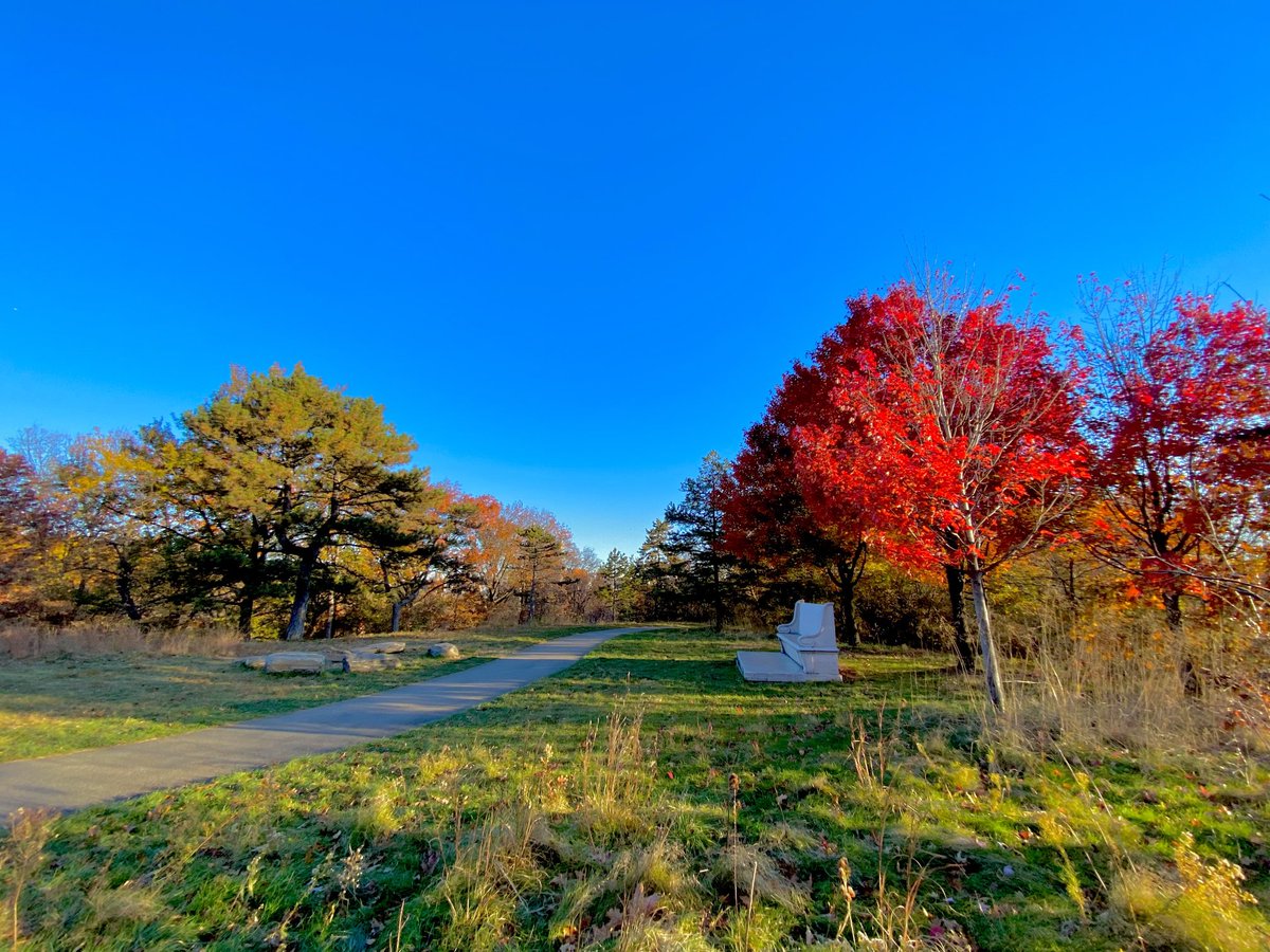 lotuswinnielee's tweet image. ⁦@CentralParkNYC⁩ early in the morning on Monday 11/20/2023, before the hustle and bustle… #fallscenery #fallfoliage2023 #nycparks