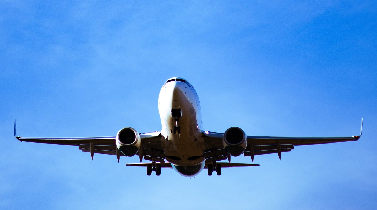 Skybound Perspectives tweet media