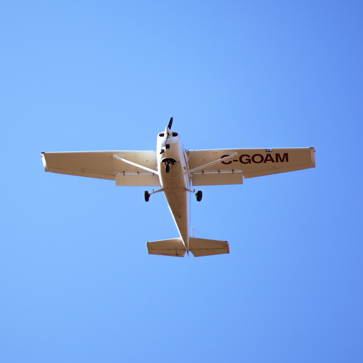 Skybound Perspectives tweet media