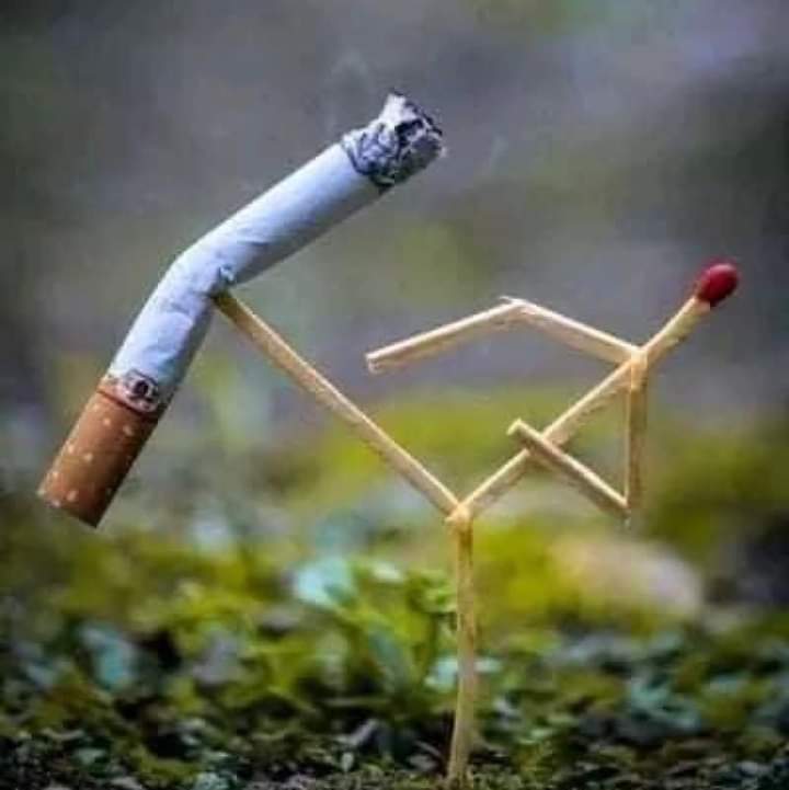 عصام الشرنوبى (@tt_kbc) on Twitter photo 