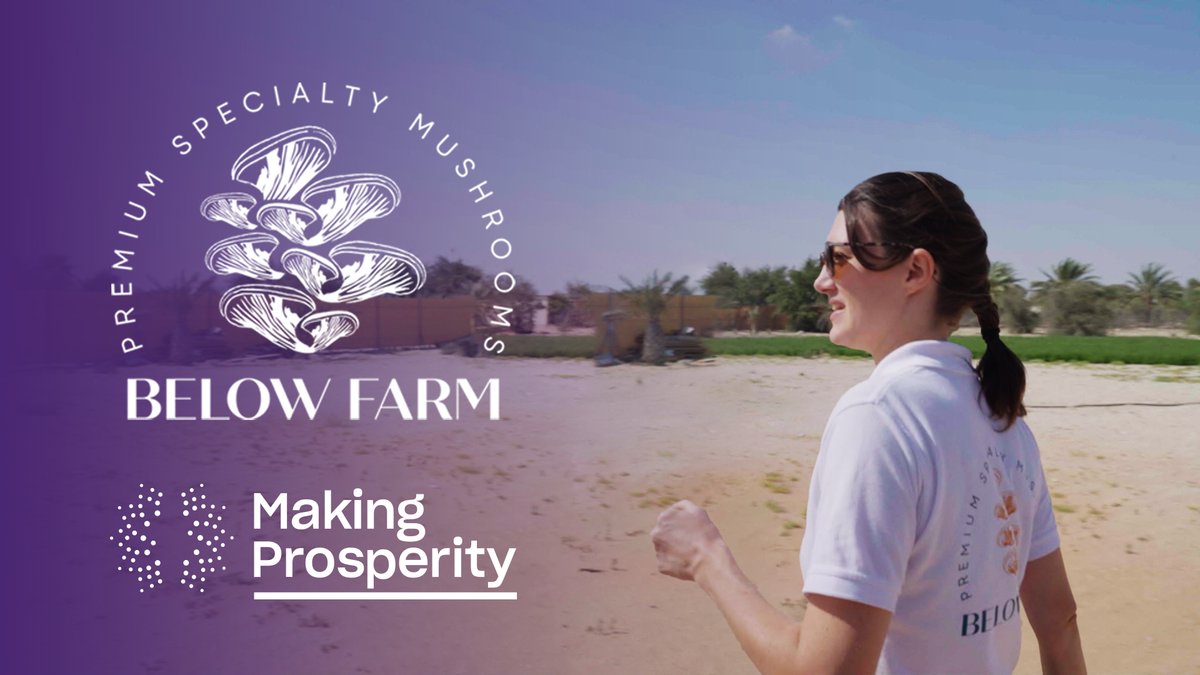 Co-founder Bronte Weir offers exclusive insight into Below Farm, an agricultural venture in #AbuDhabi pushing the boundaries of sustainable farming practices in the desert.

Watch now: bit.ly/49DzgNM

#BelowFarm #Innovation #Sustainability #MakingProsperity #UAE