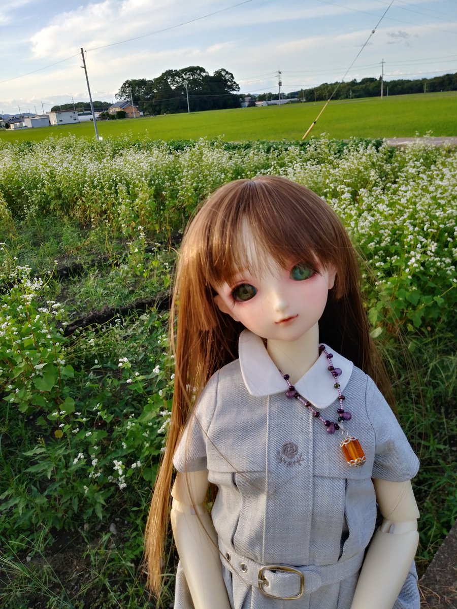 Biwakodoll's tweet photo. 今日は陽和ちゃんのお迎え記念日。平日は忙しいので、今度の祭日のお休みにお祝いするね。太陽のような明るい笑顔でいつもうちのこ達を癒してくれる陽和ちゃん。うちに来てくれてありがとう、ずっと大好きやで。
（陽和：少ししゃくだけど、楽しみにしてるね。覚えていてくれてありがとう）#sd76 https://t.co/amnoU7J26z