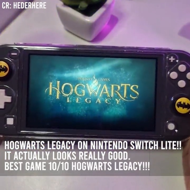 Hogwarts Legacy On Nintendo Switch LITE 