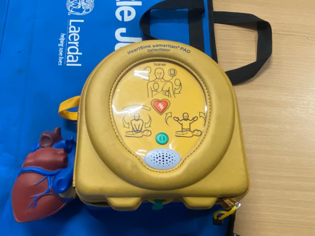 sellyparkgirls's tweet photo. Pupils in PE started First Aid Training this week; the first session being CPR. https://t.co/kuKHkmabrm