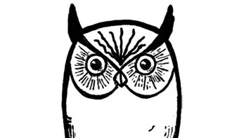 Hard to unsee.. when you look at simplified images of owl's eyes, it looks like a pair of booba... Need to unsee.....😂