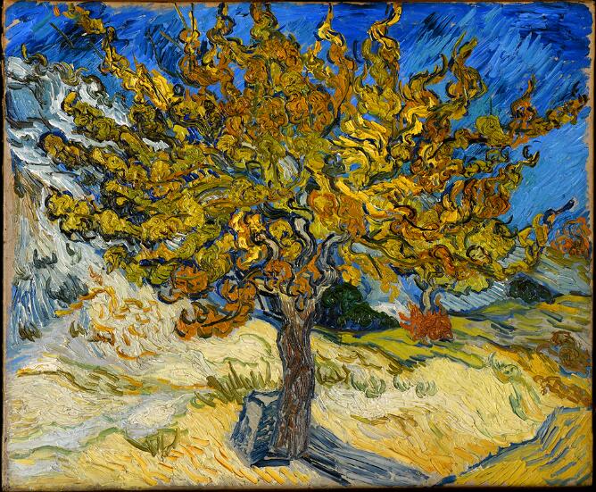 vangoghmuseum's tweet photo. ✍️ ‘I’ll tell you that we’re having some superb autumn days, and that I’m taking advantage of them. I have a few studies, among others a mulberry tree, all yellow on stony ground standing out against the blue of the sky’. Written to Theo (1889). https://t.co/HwFOyDACsN