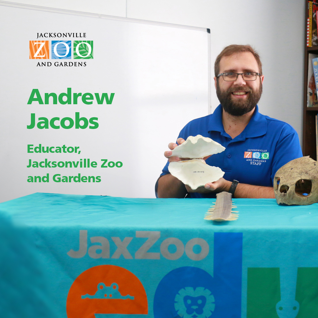 We are proud to work with programs like Kim's Open Door to help children from around the world discover the joy of a day at the Zoo. See how you can help at ➡️ jacksonvillezoo.org/giving-tuesday