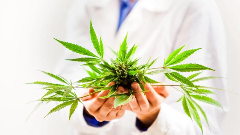 NurIslam203260's tweet image. Explore lucrative opportunities with Marijuana Affiliate Programs. Joining these programs allows you to earn commissions by promoting cannabis-related products and services.
cannabusinessgrower.com/marijuana-affi…
# lucrativeopportunities #earncommissions