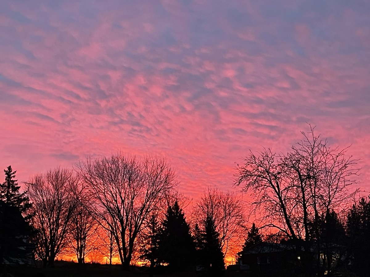 Gorgeous sky this am.