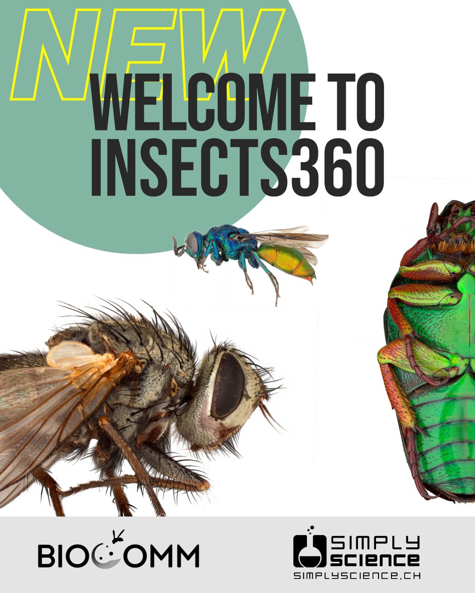 ETH Biocommunication Research Group (@biocommeth) on Twitter photo Exciting news!📢 Our science communication project is online! Join us on an exciting journey into the world of insects, brought to life by <a href="/BiocommETH/">ETH Biocommunication Research Group</a> , ETH Zurich's Entomological Collection, and <a href="/simplyscience/">SimplyScience.ch</a> . Link👇 biocommunication.org/en/insects360/
#Switzerland #entomology #SciComm Exciting news!📢 Our science communication project is online! Join us on an exciting journey into the world of insects, brought to life by <a href="/BiocommETH/">ETH Biocommunication Research Group</a> , ETH Zurich's Entomological Collection, and <a href="/simplyscience/">SimplyScience.ch</a> . Link👇 biocommunication.org/en/insects360/
#Switzerland #entomology #SciComm