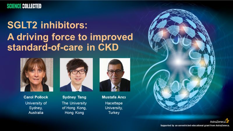 Nephrologists provide vital cardiorenal protection to #CKD patients, while primary care physicians play a key role in early CKD detection. The common goal: Better #patient outcomes. Curious about this collaboration in CKD care? Watch👉bit.ly/3sv6LBj #nephwitter