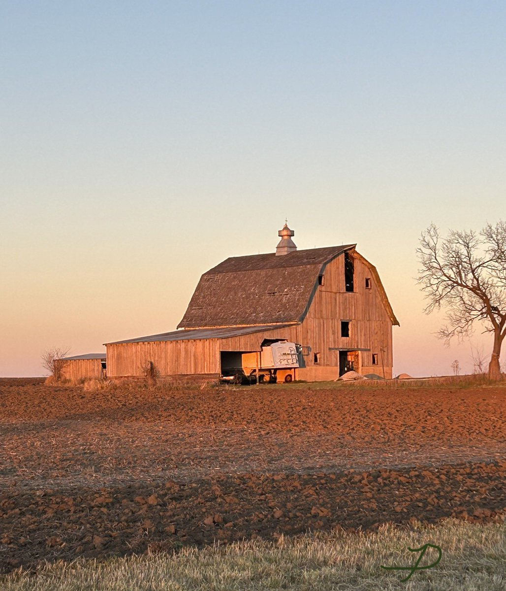 Were you born in a barn?#2
#BarnPhotography