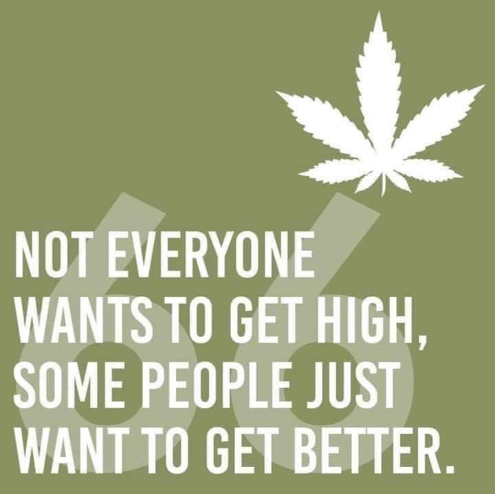 🇬🇧Yorkshire Ripple🇬🇧 tweet media