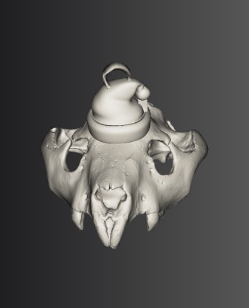 Science at the Natural History Museum tweet media