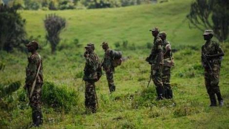 TazamaRDC_Infos's tweet photo. #Guerre_du_M23: Un calme précaire s'observe dans cette mi-journée aux alentours de la cité de #Kitshanga en territoire de Masisi, où depuis tôt le matin les rebelles du M23 faisaient face aux jeunes résistants patriotes. Deux civils auraient perdu la vie lors de ces affrontements, il y aurait également des blessés.
Les rebelles contrôlent l'entièreté de la localité de Ndondo, les #Wazalendo s'étant repliés vers #Karton sur la route #Kitshanga_Mwesso.

[Situation 13h03']