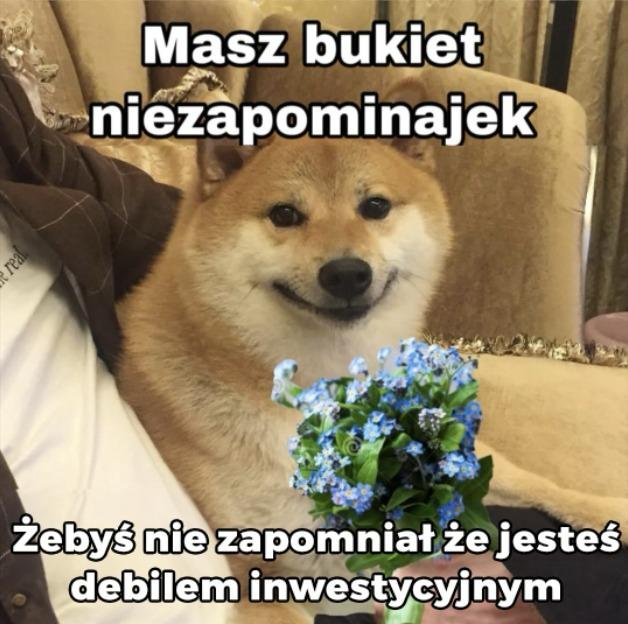 Phil Konieczny tweet media
