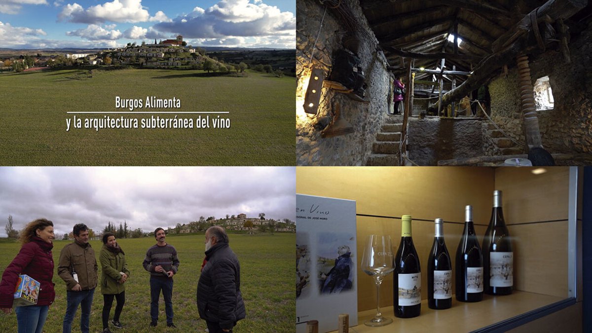 BurgosAlimenta's tweet image. Burgos Alimenta toma tierra en Moradillo de Roa. Si te perdiste #ElArcón, puedes ver el programa completo en este enlace 👇
cyltv.es/ficha/a58e3db0…