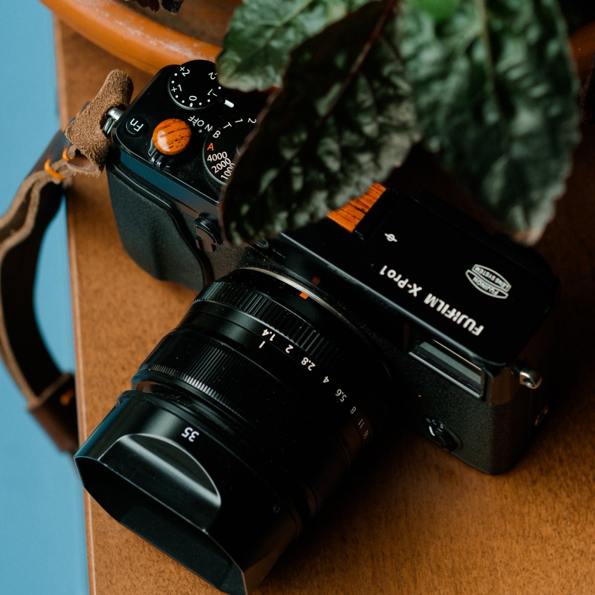 ArtisanObscura's tweet photo. 11mm Convex Teak Set 🌿 

#ArtisanObscura #PutAButtonOnIt #InspireYourCraft #SoftReleaseButton #HotShoeCover #CameraAccessories #Craftsmanship #CameraBling #Photographer #Photoshoot #Teak #Fuji #FujiFilm #Fujixpro1 https://t.co/Zl9Iy1ZSzm
