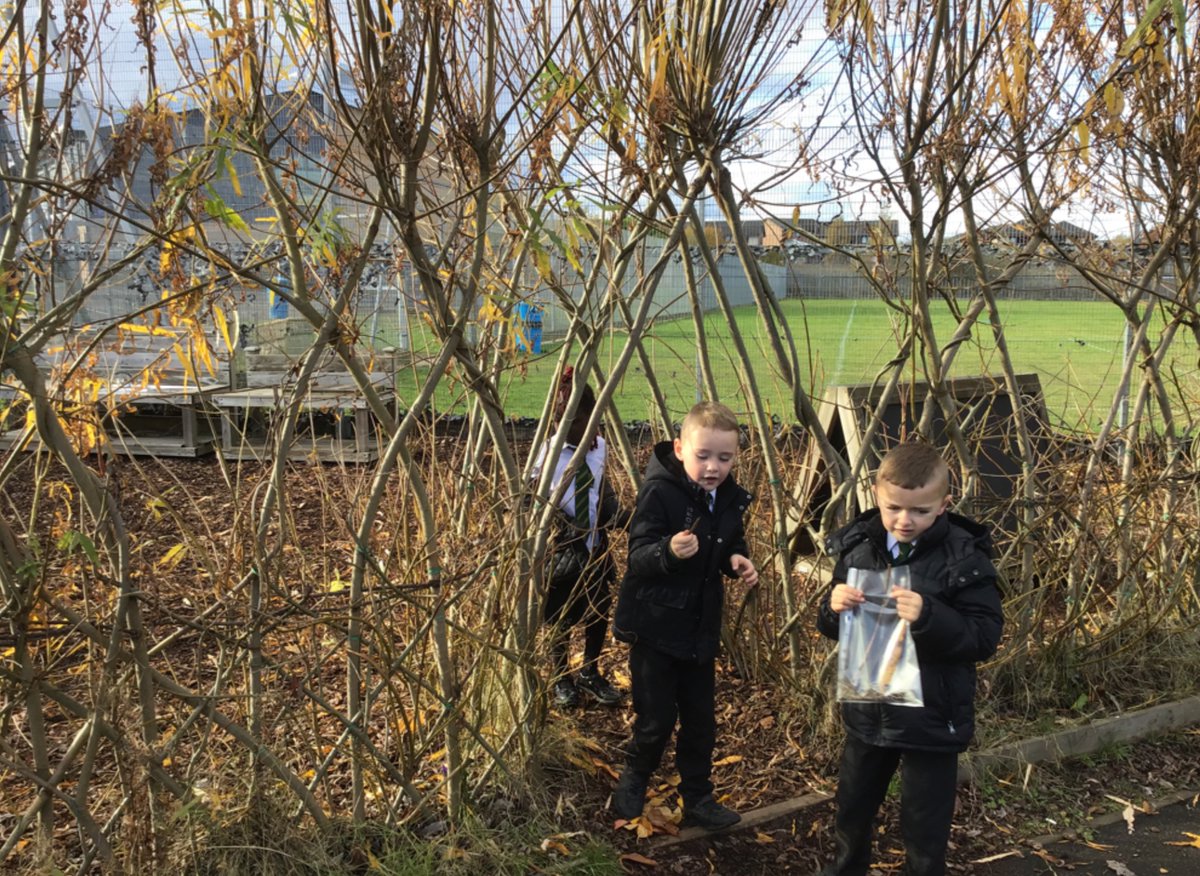 OLPPrimary's tweet photo. (1/2) P2 and P3/2 have been exploring properties and sources of materials which they classified into natural and synthetic materials. #outdoorlearning #STEMglasgow #welovestem https://t.co/vC6xRorHqt