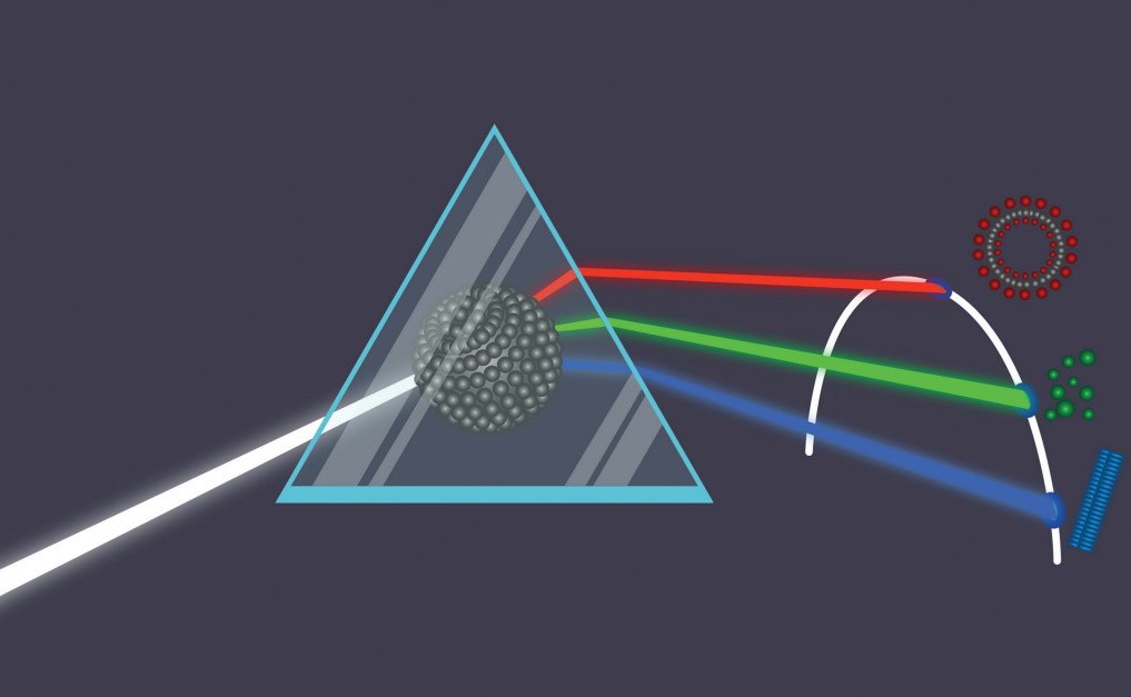 A great #job 🧑‍🏭 opportunity to join @fracardarelli79 #NEST #SNS as a #Research #Fellow specializing in #Fluorescence #Lifetime #Analysis for Healthcare Nanoformulations.

👇👇👇👇👇👇👇👇👇👇👇👇👇👇👇👇
trasparenza.sns.it/archivio22_ban…

More details in the comments below! (1/3)