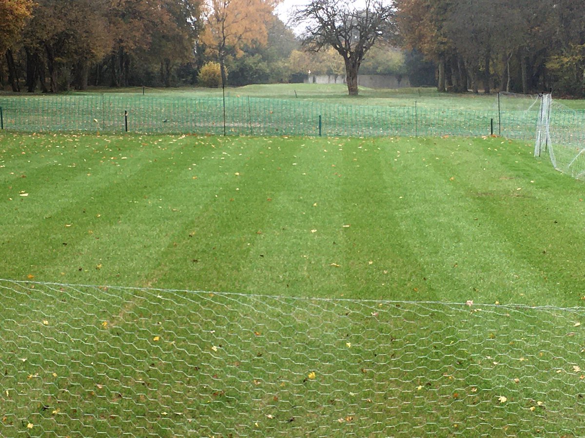 Harpenden Common GC tweet media