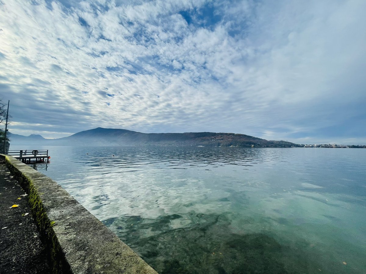 RossHamblin's tweet photo. Beautiful place for a conference! Three days of pituitary plus Bernese mountain dogs = perfection! #Annecy #Europit @ESEndocrinology #pituitary @Karavitaki_Niki https://t.co/7kLgCFQ8ue