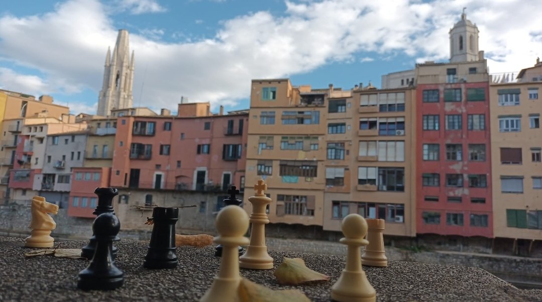 Escacs Santa Eugènia tweet media