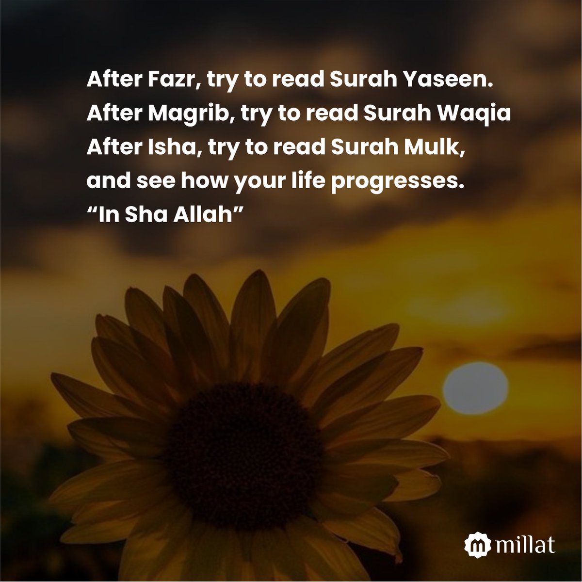 MillatCo's tweet photo. After Fazr, try to read Surah Yaseen.
After Magrib, try to read Surah Waqia
After Isha, try to read Surah Mulk,
and see how your life progresses.
“In Sha Allah”
#allah #quran #namaz #fazr #magrib #isha #surahyaseen
#surahwaqia #surahmulk #life #lifeprogress #deen #millat https://t.co/2OpGuc9ulp