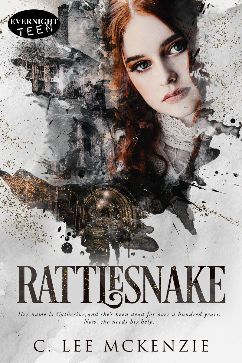 Write What Inspires You! ~ Donna M. McDine: Young Adult Novel Book Review - Rattlesnake by C. ... donna-mcdine.blogspot.com/2023/11/young-… <a href="/cleemckenzie/">C. Lee McKenzie</a>