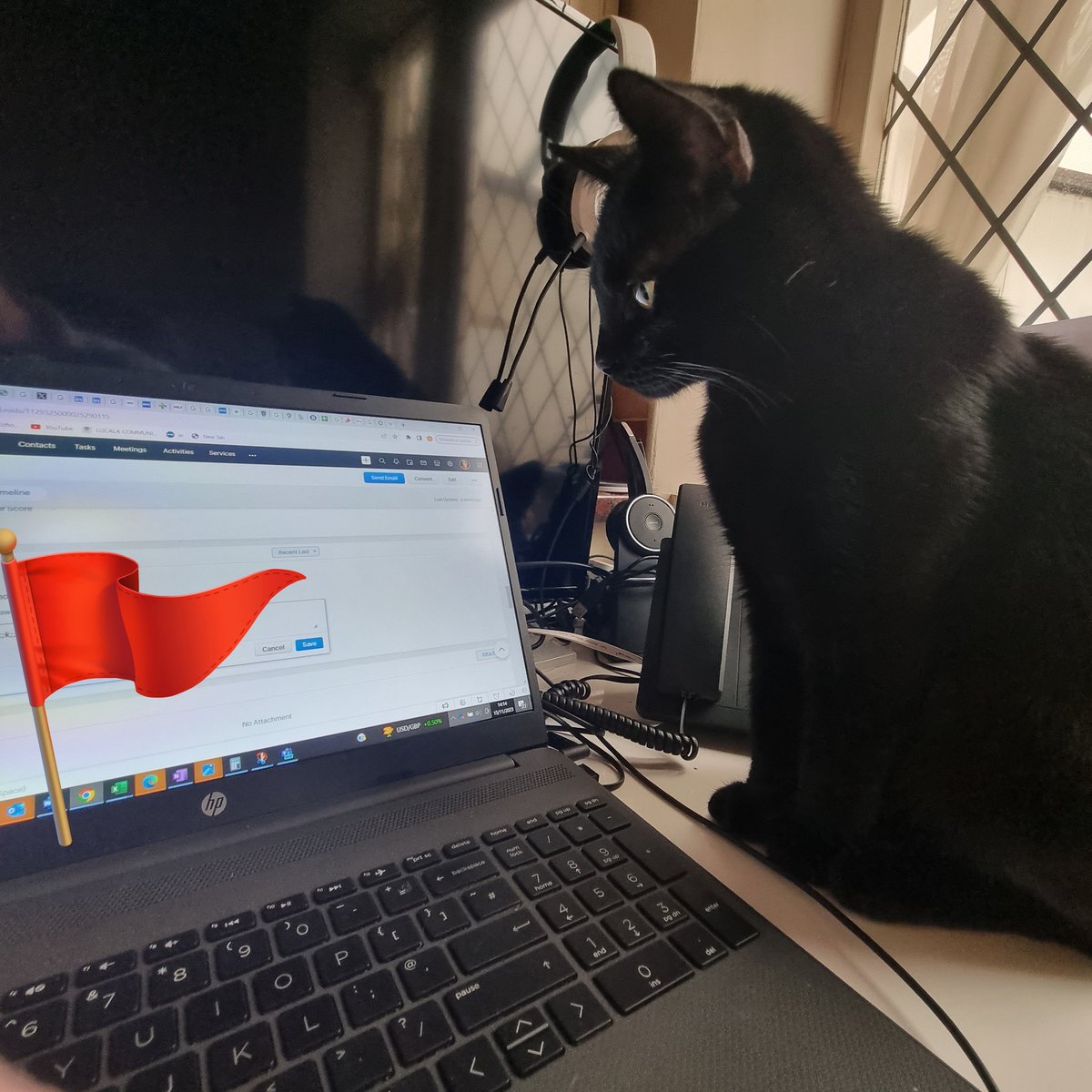 corrmed's tweet photo. Not sure we made the right decision with our latest hires...one is an untrusting micro manager, the other sleeps on the job! 🙄
#ShockingBehaviour https://t.co/47i1TjmcER