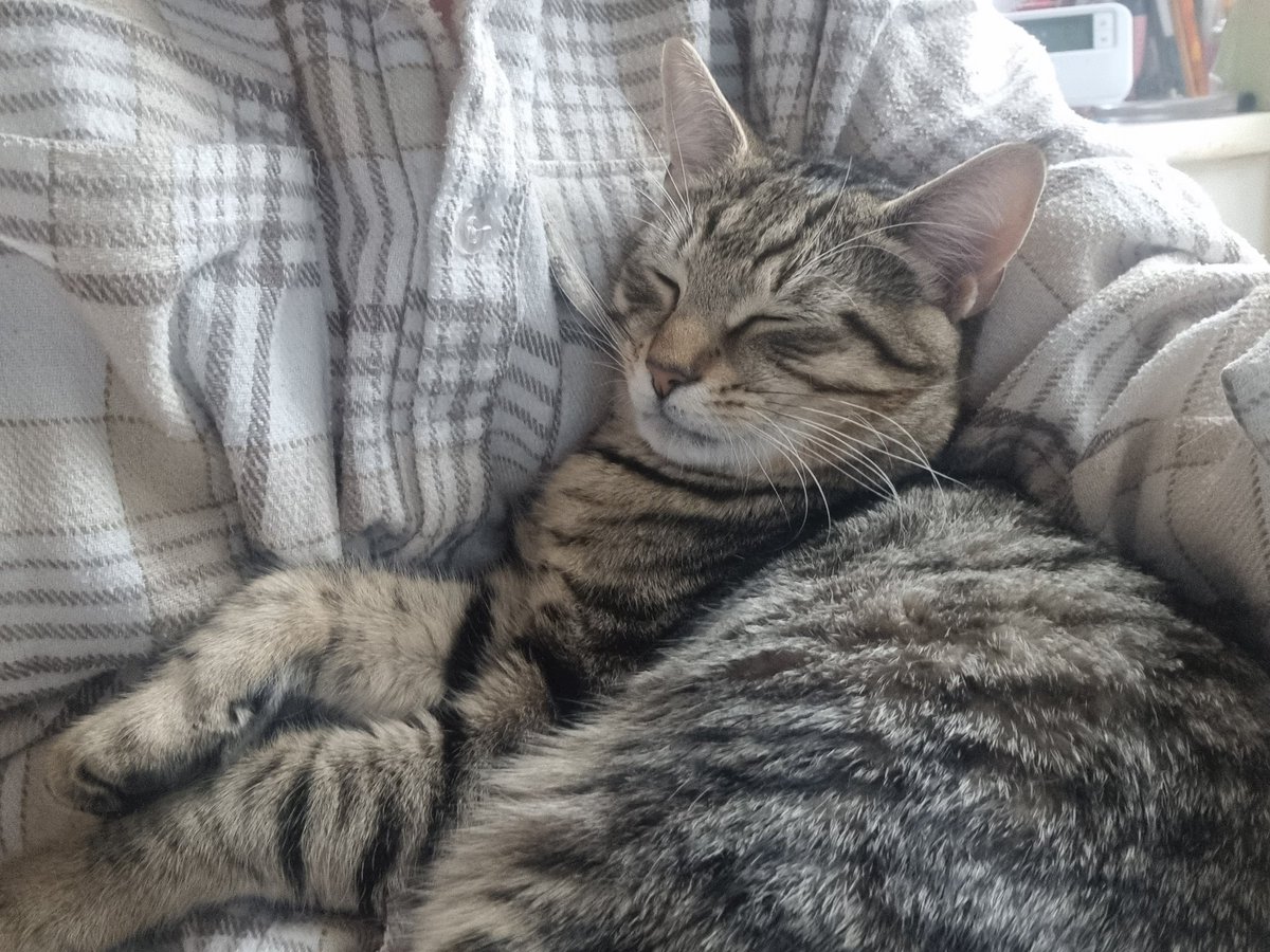 corrmed's tweet photo. Not sure we made the right decision with our latest hires...one is an untrusting micro manager, the other sleeps on the job! 🙄
#ShockingBehaviour https://t.co/47i1TjmcER