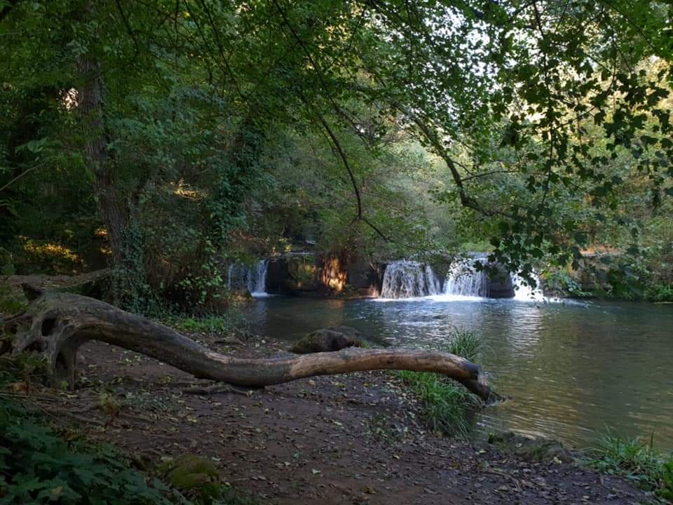 Visite guidate tra Mazzano e Monte Gelato: sabato 25 e domenica 26 novembre sul sentiero 001 Foto di Lucia Scaturro <a href="/ParcoTreja/">ParcoValledelTreja</a> shorturl.at/kvJ89