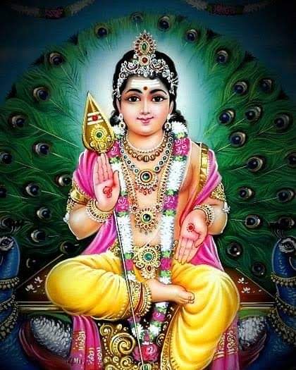 Sena G,sena tweet media