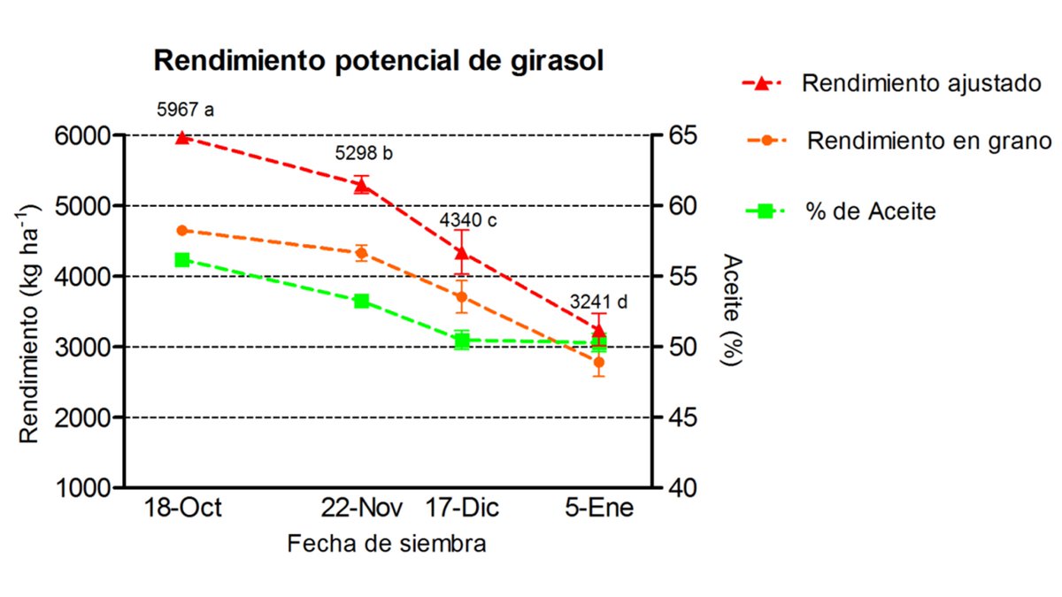 Ensayo de rendimiento potencial en función de la F de S
Balcarce
Híbrido: SYN3970. Riego x goteo ad libitum.
Diseño en bloques completos con 4 repeticiones. Se mantuvo protegido con fungicidas