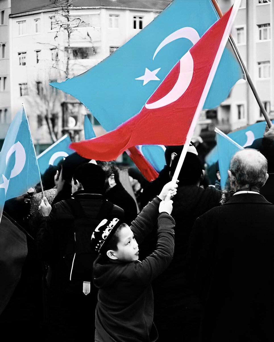 gokturklermedya's tweet photo. Al bayraktan Gök bayrağa selam olsun!
Elbet bir gün buluşacağız... https://t.co/boW6pwiDxf