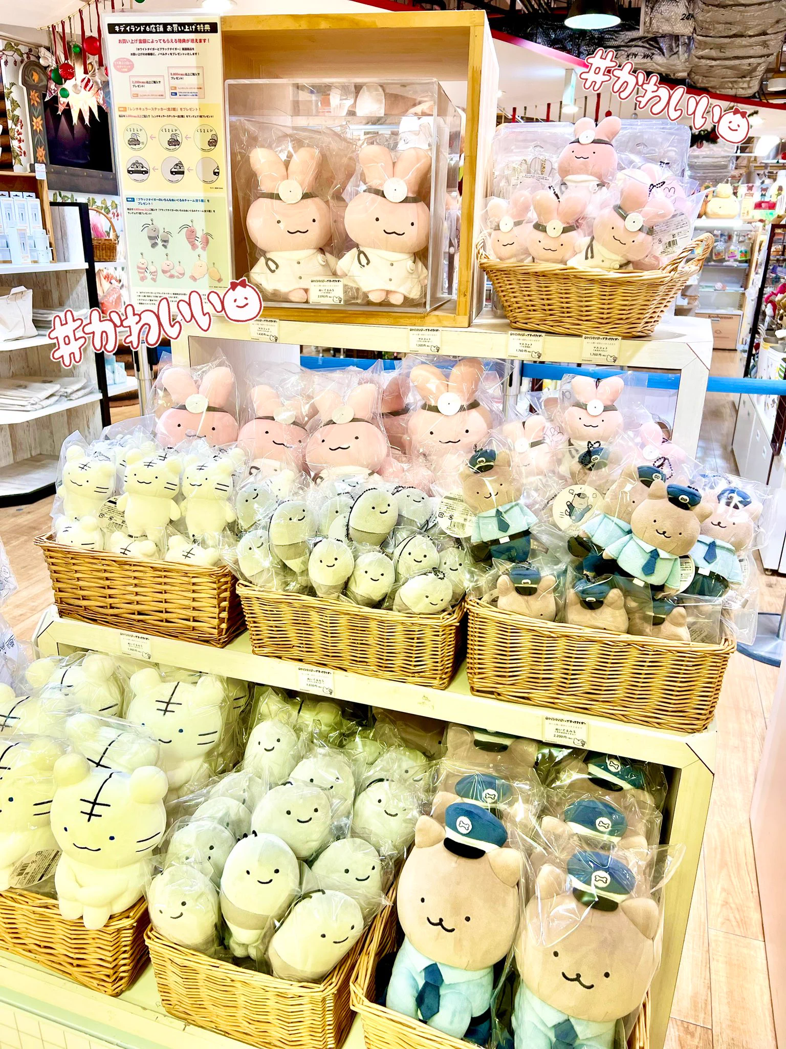 キデイランド大阪梅田店【公式】 on X: 