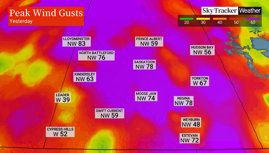 Moises Canales-Lavigne tweet media